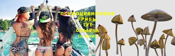кокс Лабытнанги