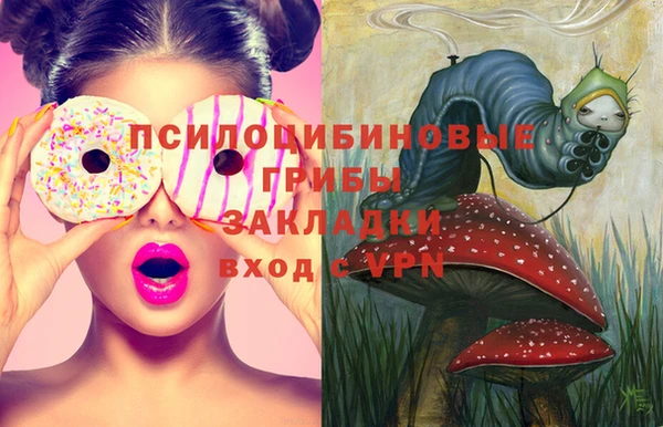 герыч Лагань