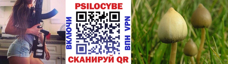 Галлюциногенные грибы Psilocybine cubensis Одинцово