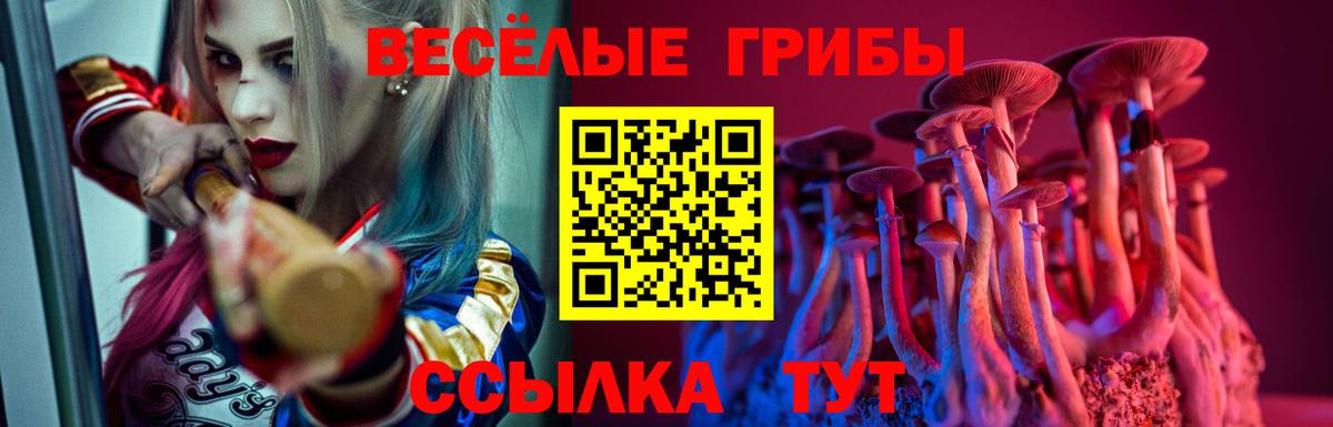 Одинцово  Псилоцибиновые грибы Psilocybe  Вход с VPN 