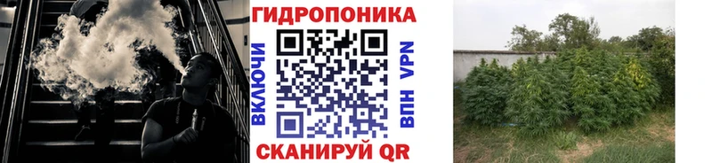 Бошки Шишки семена купить Одинцово